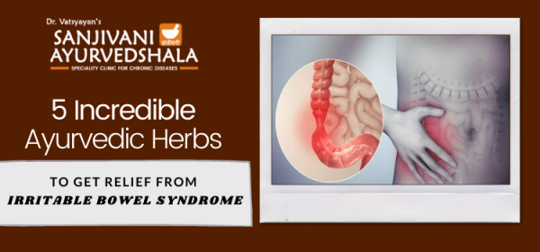 5 Incredible Ayurvedic Herbs To Get Relief From Irritable Bowel Syndrome